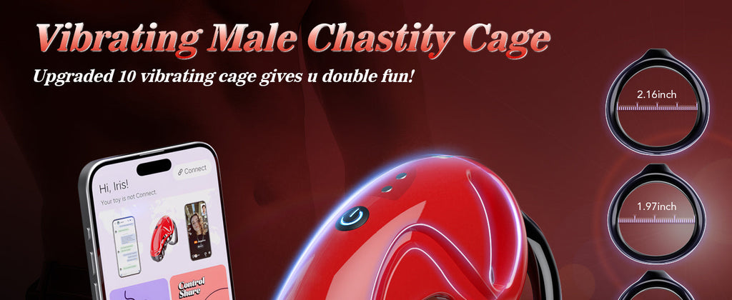 APP Remote Control Male Chastity Devices Sissy Cock Cage with 10 Vibrations