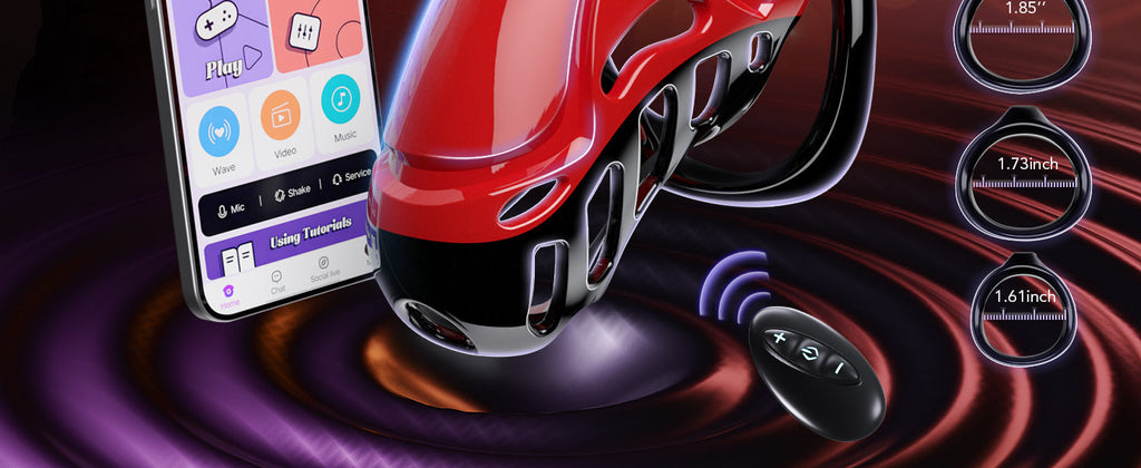 APP Remote Control Male Chastity Devices Sissy Cock Cage with 10 Vibrations