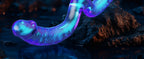 Double-ended Glass Dildo for G-Spot & P-Spot