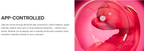 Venus Tongue & Wiggle Vibrator